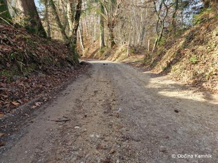 Vzdrževalna dela na gozdnih cestah (1)